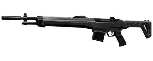 VALORANT Gun Guardian
